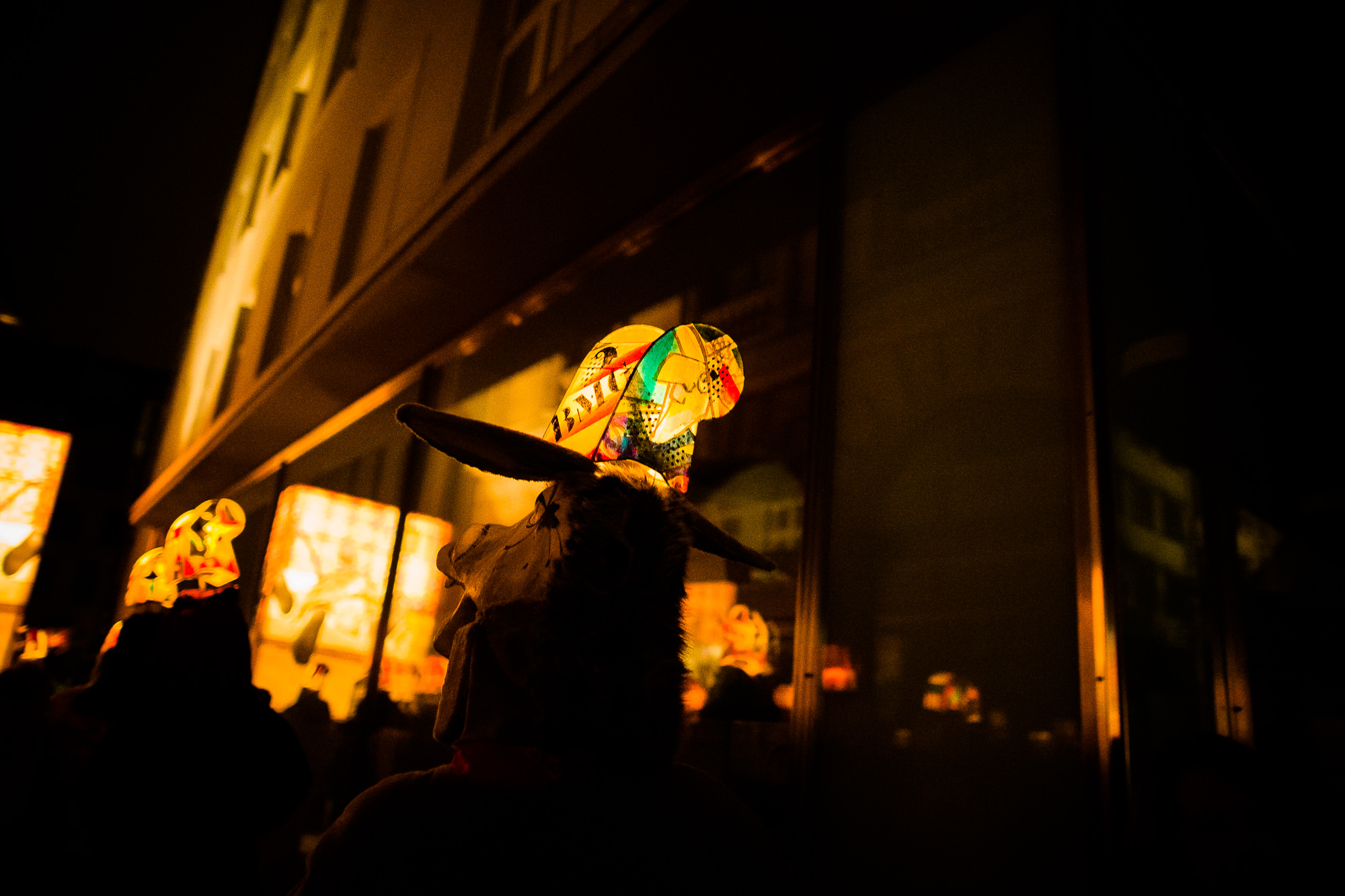 Export x3 1DX 6266 Basler Fasnacht 2016